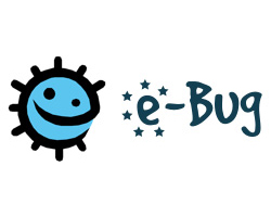 E bug